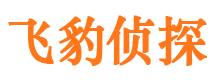 河池市婚姻出轨调查